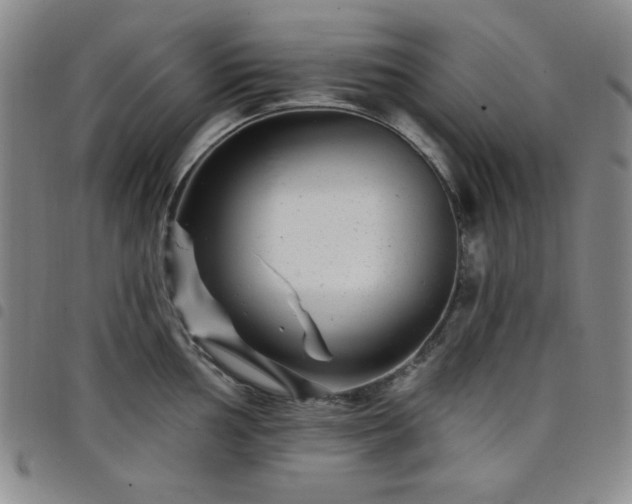 X0000098151002200804241735