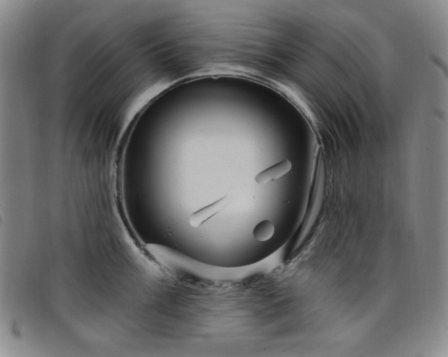 X0000098151003200804241735