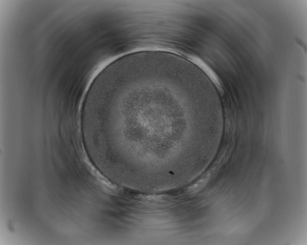 X0000098151004200804241735