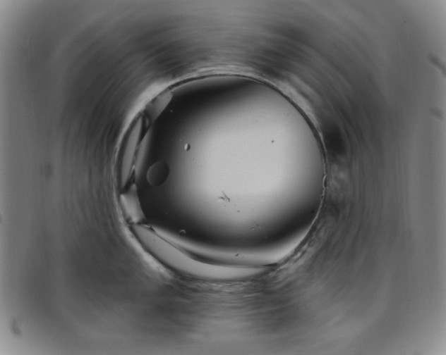X0000098151005200804241735