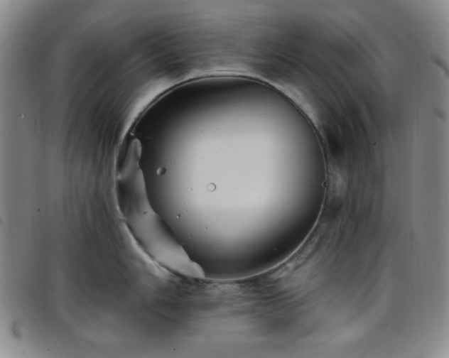 X0000098151006200804241735