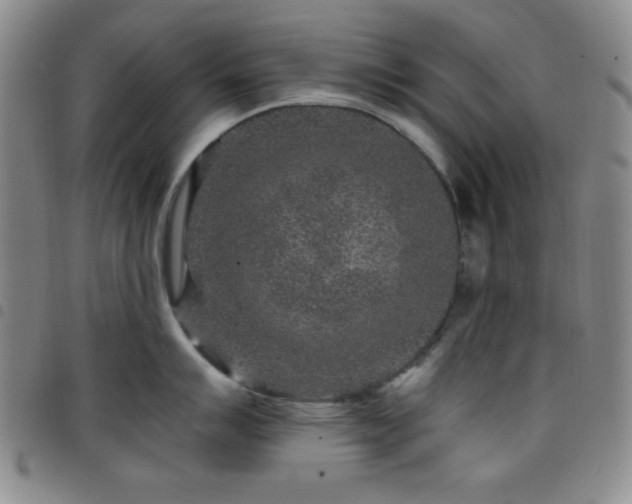 X0000098151007200804241735