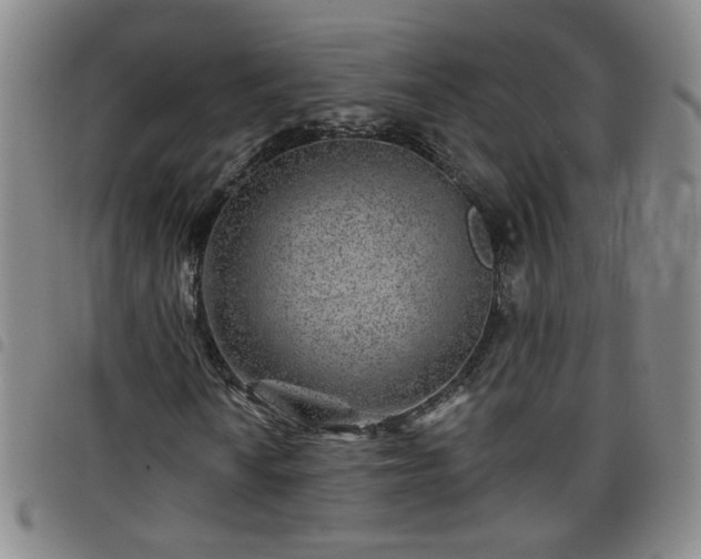 X0000098151010200804241734