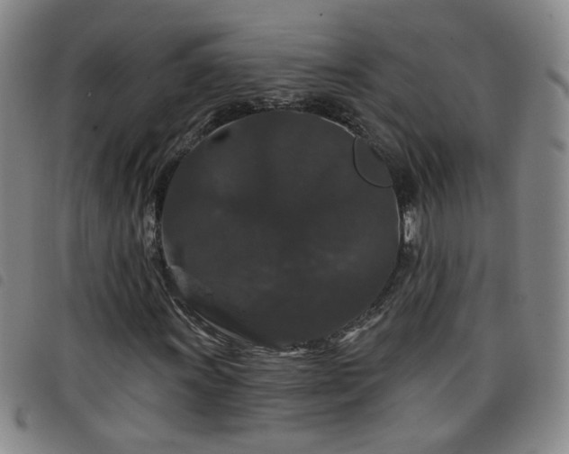 X0000098151011200804241734