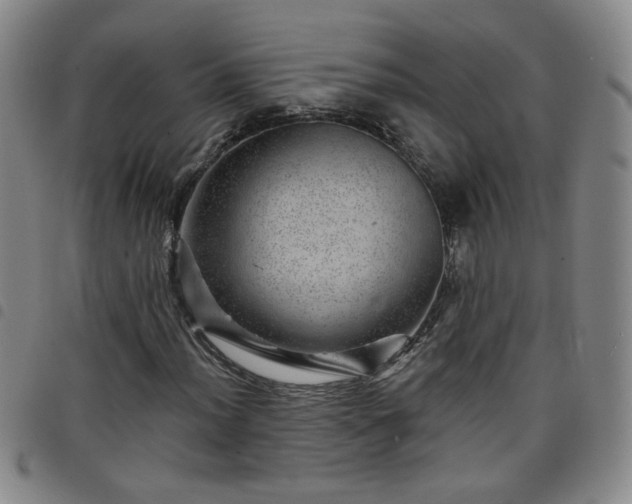 X0000098151012200804241734