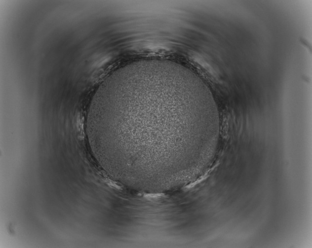 X0000098151013200804241734