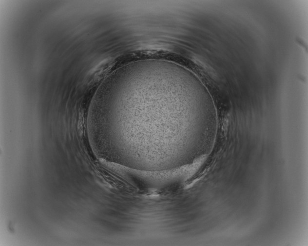 X0000098151014200804241734