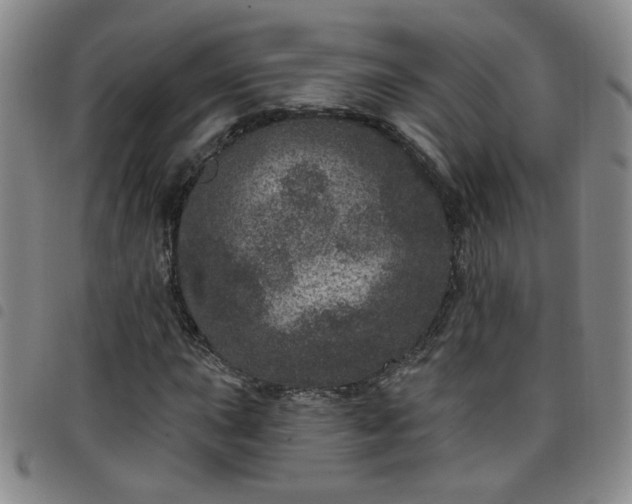 X0000098151015200804241734