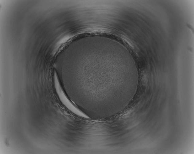 X0000098151016200804241734