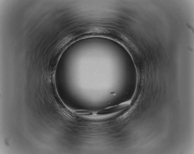 X0000098151017200804241734