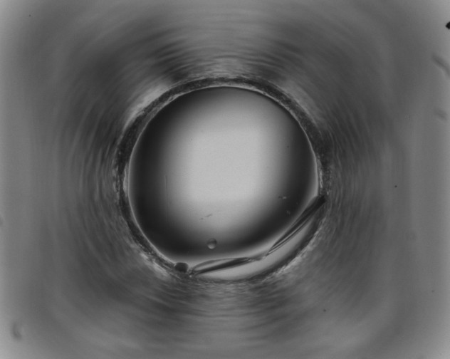 X0000098151018200804241734