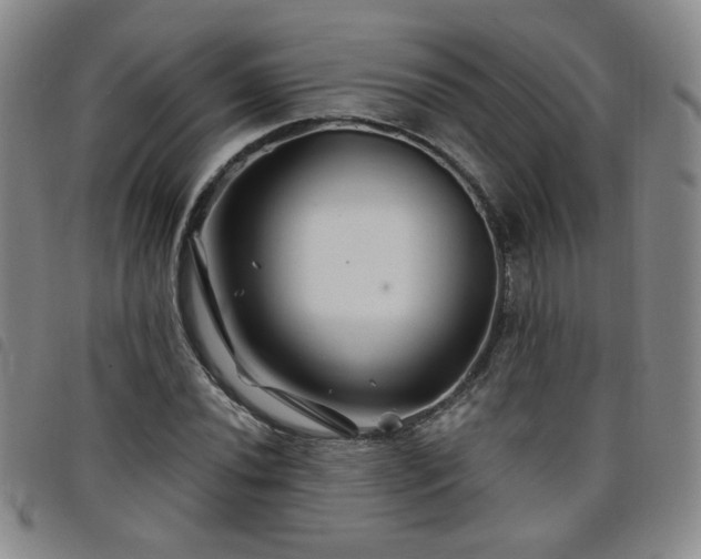 X0000098151020200804241734