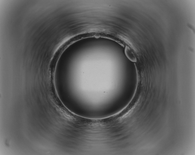 X0000098151021200804241734