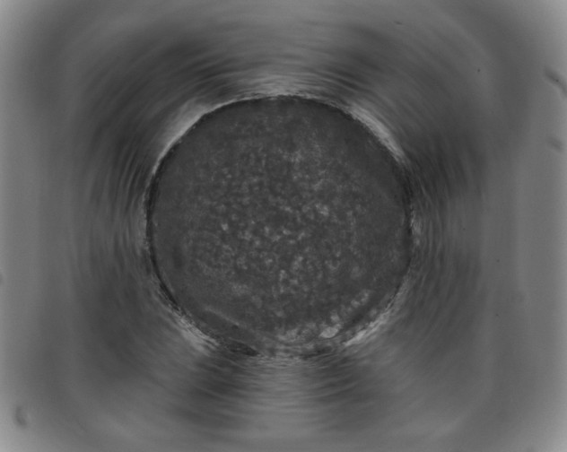 X0000098151023200804241734