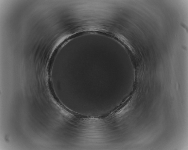 X0000098151024200804241734