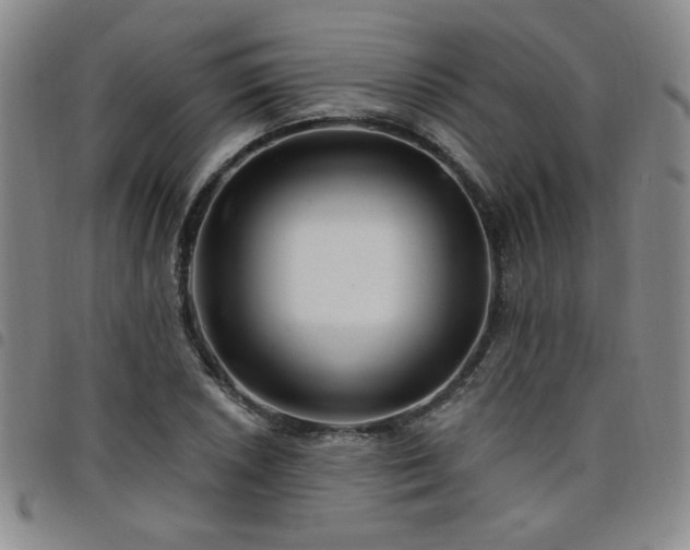 X0000098151026200804241734