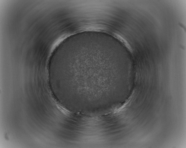 X0000098151027200804241734
