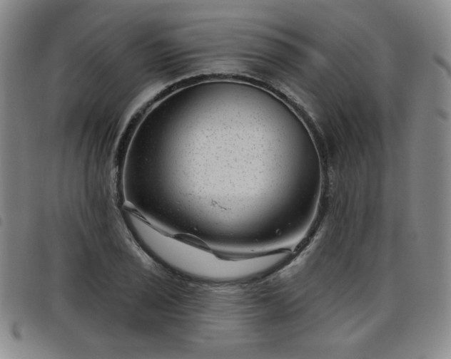 X0000098151029200804241734