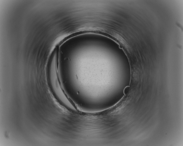 X0000098151030200804241734