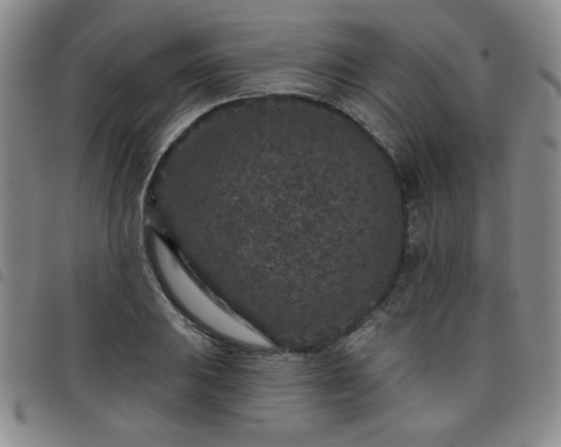 X0000098151031200804241734