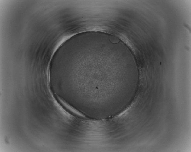 X0000098151032200804241734