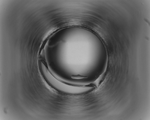 X0000098151034200804241734