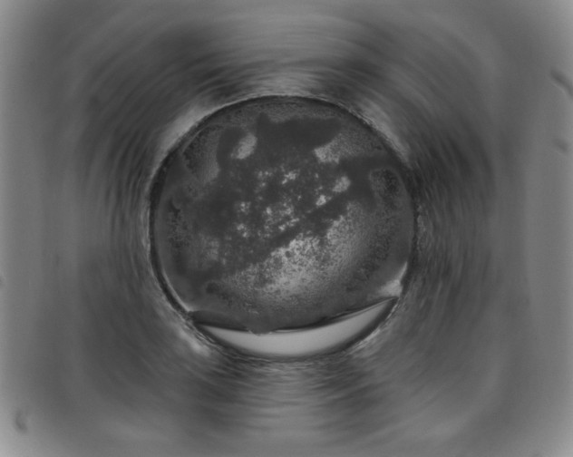 X0000098151035200804241734