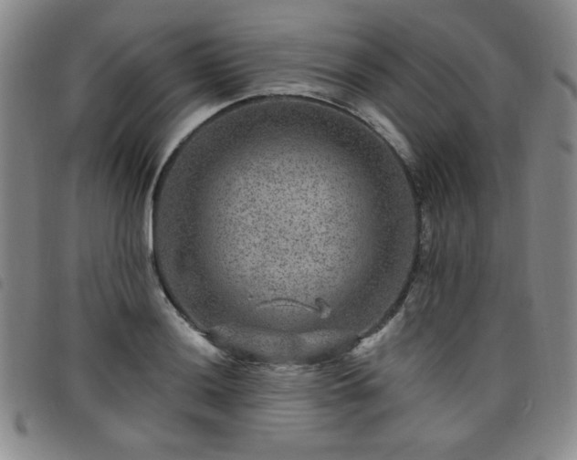 X0000098151036200804241734