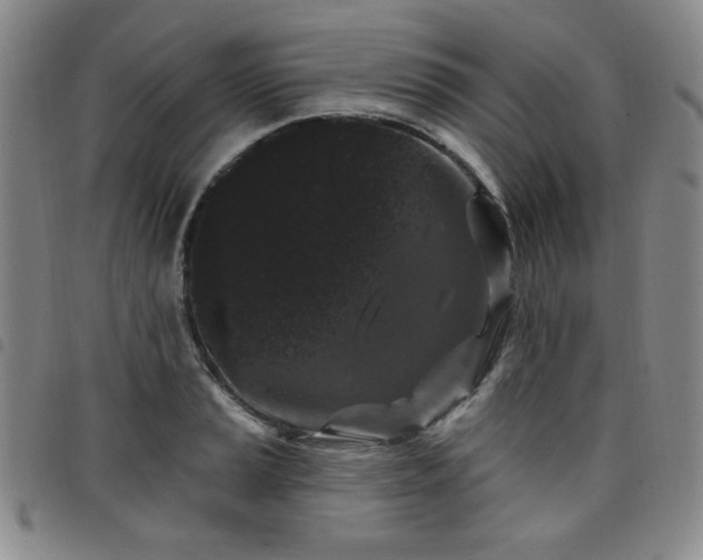 X0000098151037200804241734
