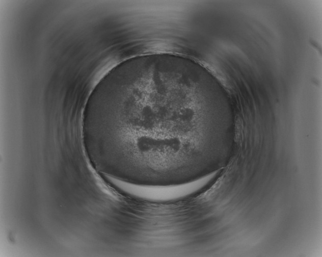 X0000098151039200804241734
