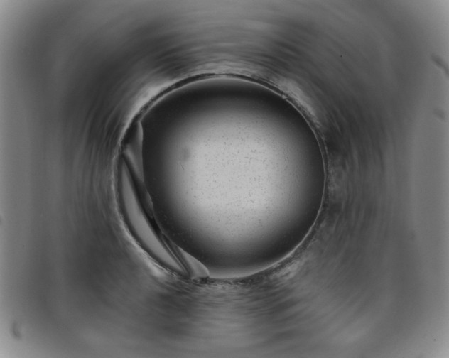X0000098151040200804241734
