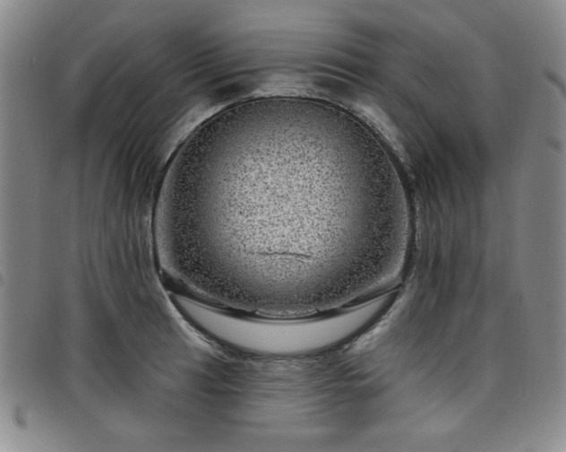 X0000098151041200804241734
