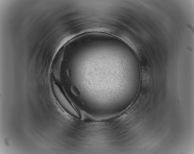 X0000098151044200804241734