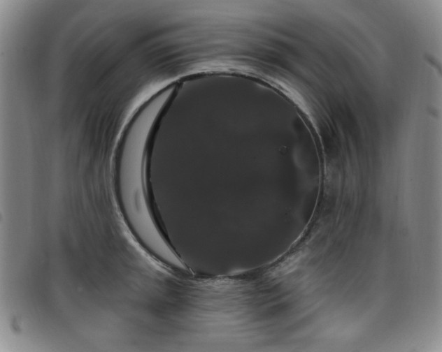 X0000098151045200804241734