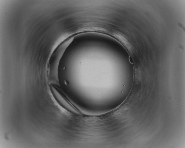 X0000098151046200804241734