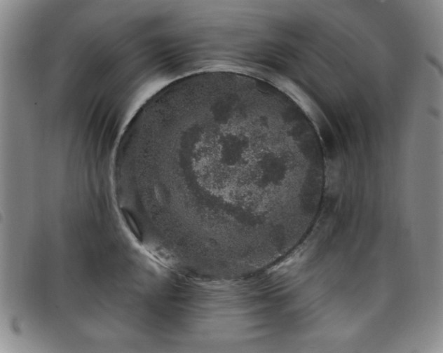 X0000098151048200804241735