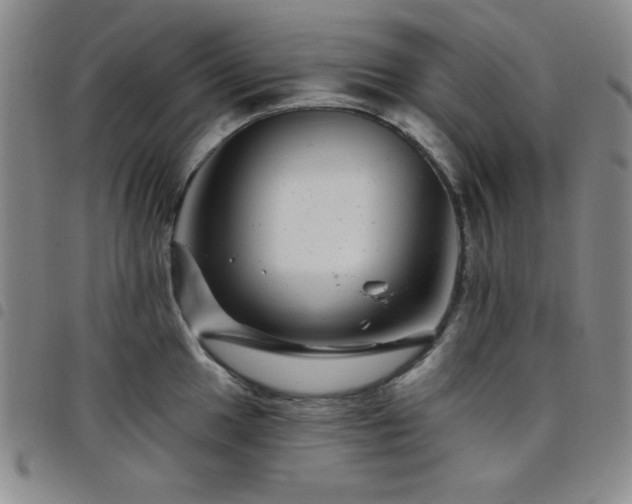 X0000098151049200804241735