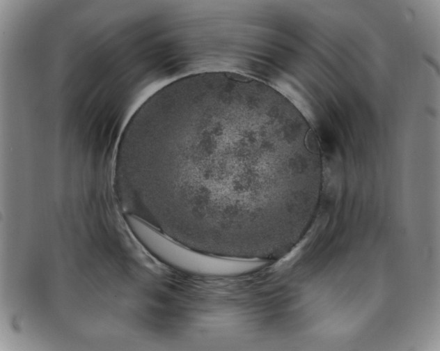 X0000098151052200804241735
