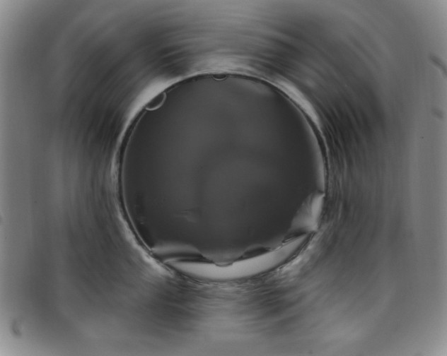 X0000098151053200804241735