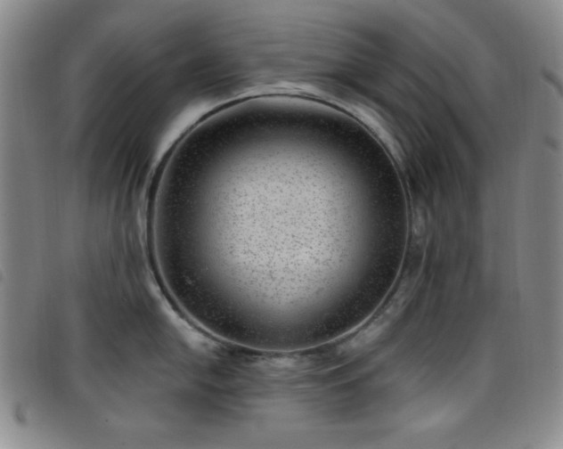 X0000098151054200804241735