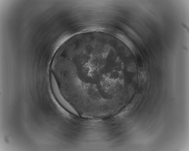 X0000098151055200804241735