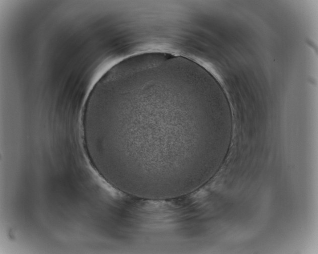 X0000098151056200804241735