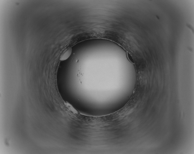 X0000098151057200804241734