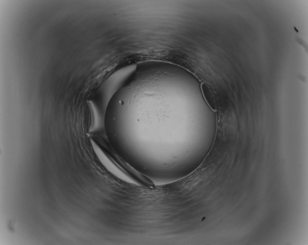 X0000098151058200804241734