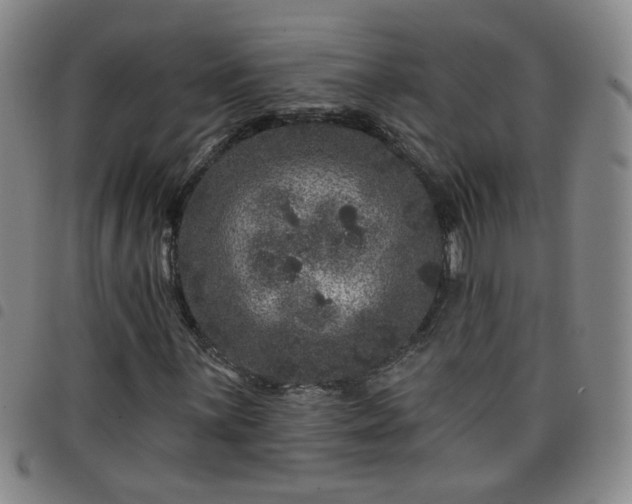 X0000098151059200804241734