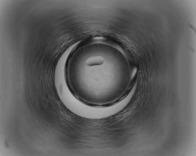 X0000098151060200804241734