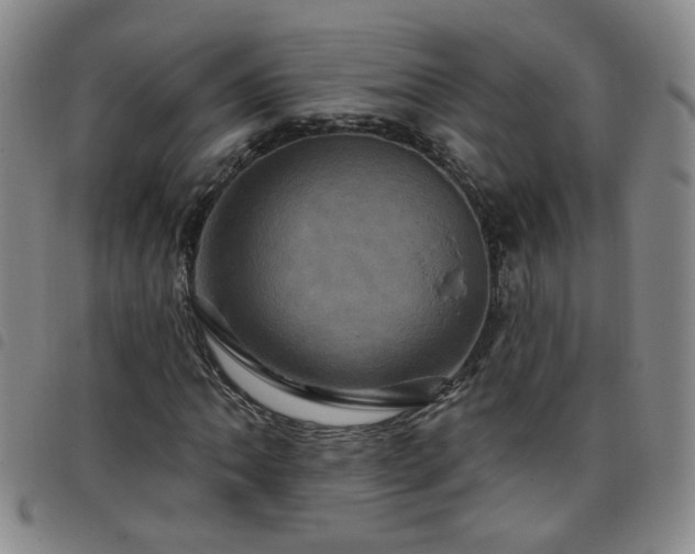 X0000098151062200804241734