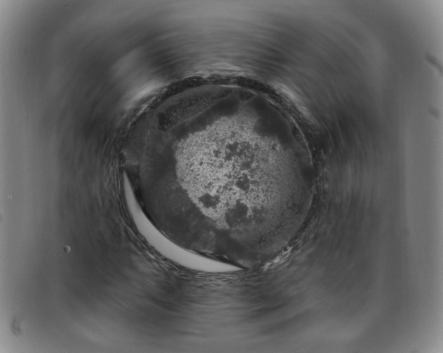 X0000098151063200804241734