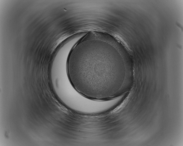 X0000098151065200804241734