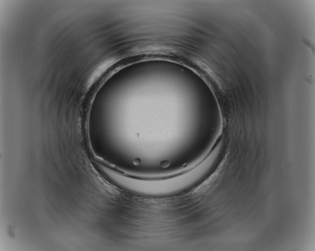 X0000098151066200804241734